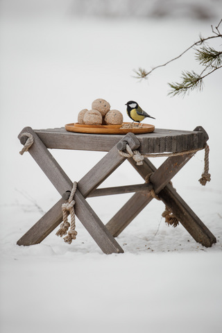 EcoFurn Lilli sivupöytä/jalkarahi miljöökuva, mänty harmaa